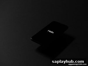 AG真人 saplayhub