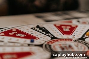 AG真人 saplayhub