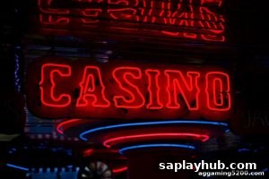 AG真人 saplayhub