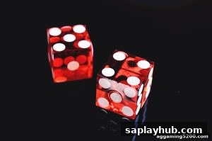 AG真人 saplayhub